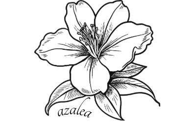 Azalea flower line art logo for a hoodie brand, featuring a black and white drawing of an azalea with the word 'azalea' scripted underneath. Represents natural comfort and unique style