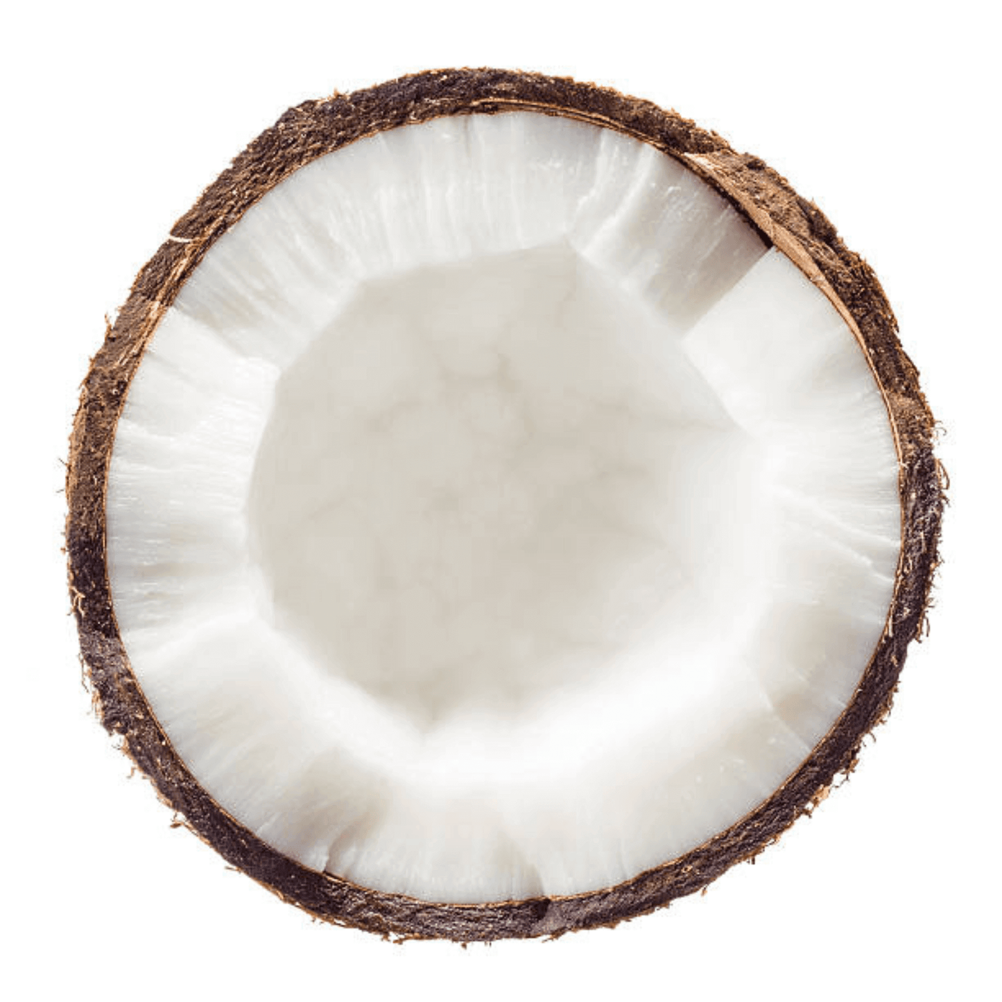 Fresh coconut, highlighting the natural ingredients used in Azalea's comfort hoodies. This image represents the subtle, soothing scent and overall comfort provided by our essential oil-infused apparel, promoting relaxation and a sense of well-being