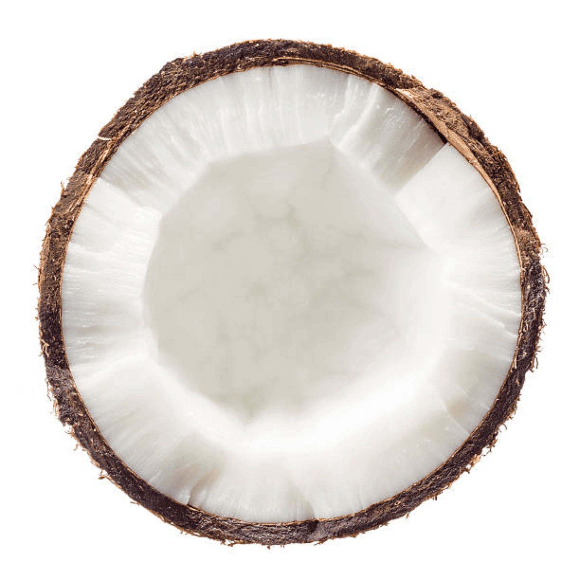 Fresh coconut, highlighting the natural ingredients used in Azalea's comfort hoodies. This image represents the subtle, soothing scent and overall comfort provided by our essential oil-infused apparel, promoting relaxation and a sense of well-being